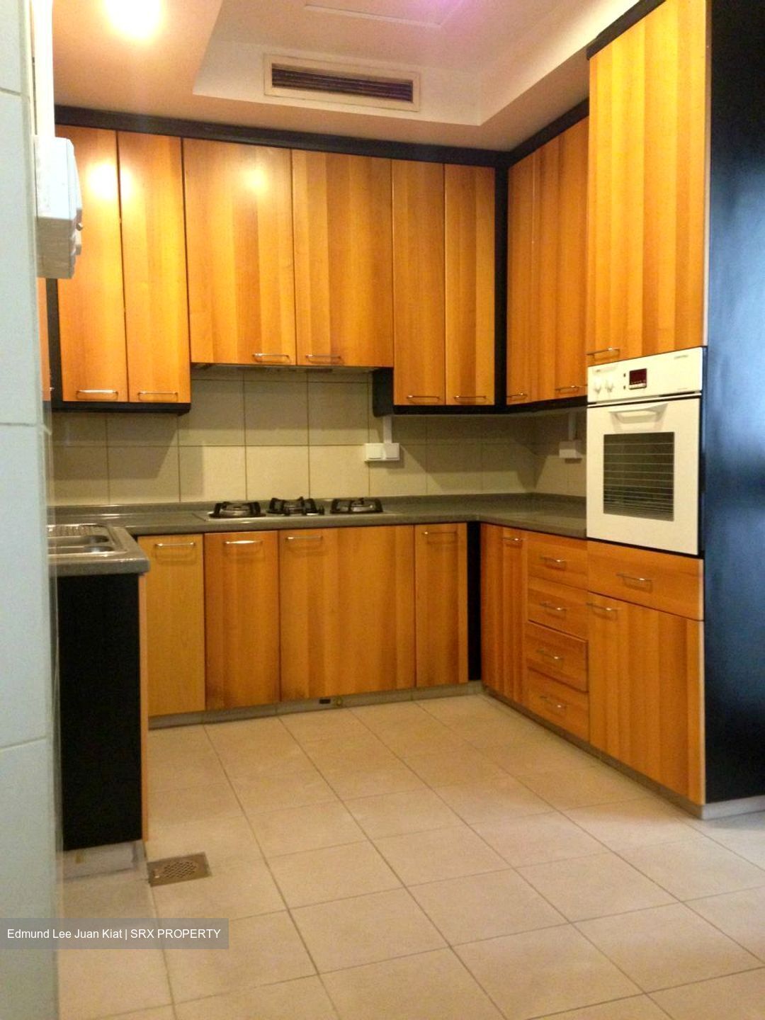 Valley Park (D10), Condominium #563708851